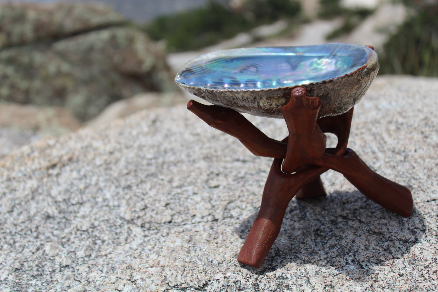 Abalone Shell w/ Stand Bundle