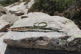 Sweetgrass Braid '20 - '25 in